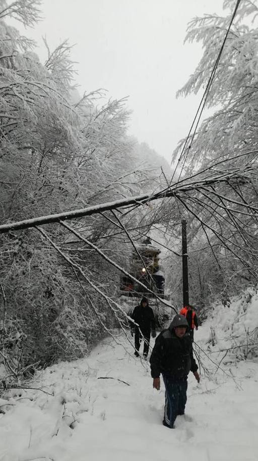 ANM: Cod galben de ninsoare, ceaţă densă şi viscol în mai multe judeţe, în următoarele ore; în multe locuri se va depune un nou strat de zăpadă de 10 - 20 de centimetri