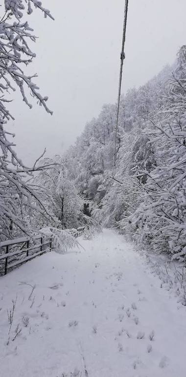 CFR: Trenul IR 1722, care circulă pe relaţia Sibiu - Caracal, staţionează temporar în Valea Mărului; personalul feroviar acţionează pe două secţii de cale ferată