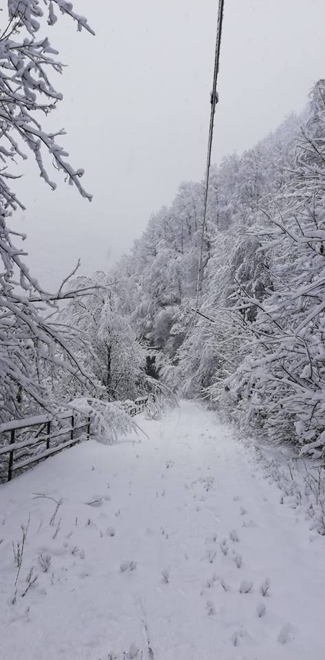 CFR: Trenul IR 1722, care circulă pe relaţia Sibiu - Caracal, staţionează temporar în Valea Mărului; personalul feroviar acţionează pe două secţii de cale ferată