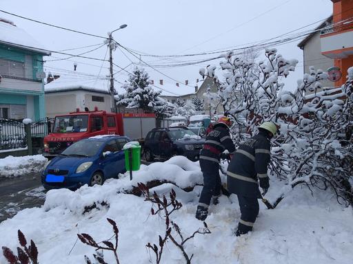 IGSU: Efectele iernii, resimţite în 11 judeţe în ultimele 24 de ore; 128 de copaci au fost doborâţi de greutatea zăpezii sau de vântul puternic. FOTO, VIDEO