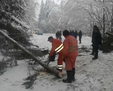 Harghita: Circulaţia pe DN 13B, închisă din cauza unor brazi încărcaţi de zăpadă care se pot rupe. FOTO, VIDEO