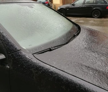 Primăria Capitalei: Au fost demarate tratamentele de combatere a poleiului; peste 260 de utilaje pregătite să intervină