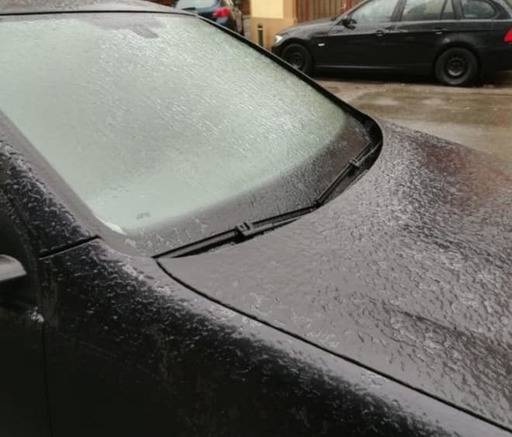 Primăria Capitalei: Au fost demarate tratamentele de combatere a poleiului; peste 260 de utilaje pregătite să intervină