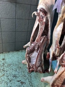 ANSVSA: Peste 1.400 de kilograme de carne de vită provenită de la firma din Polonia suspectată că sacrifica animale bolnave au ajuns la un depozit din Ilfov; toată cantitatea va fi distrusă

