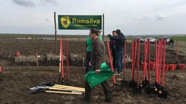 Deneş: În acest an vrem să plantăm 88 de hectare de perdele forestiere