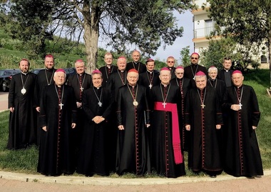 Episcopii catolici, la Bucureşti, în sesiune plenară a Conferinţei episcopale. Vizita Papei în România este tema principală
