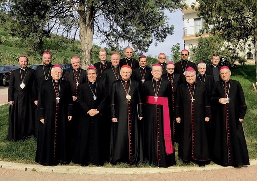 Episcopii catolici, la Bucureşti, în sesiune plenară a Conferinţei episcopale. Vizita Papei în România este tema principală
