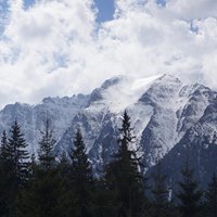 Imagini cu o capră neagră şi iedul ei, surprinse în Parcul Naţional Retezat; Romsilva: Populaţia de capră neagră din Parcul Naţional Retezat depăşeşte 200 de exemplare. VIDEO