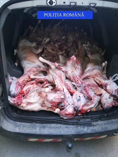 Poliţia Română recomandă cetăţenilor să cumpere produse alimentare numai din locuri special amenajate şi autorizate; în ultima săptămână s-au întocmit o sută de dosare penale pentru comerţ ilicit