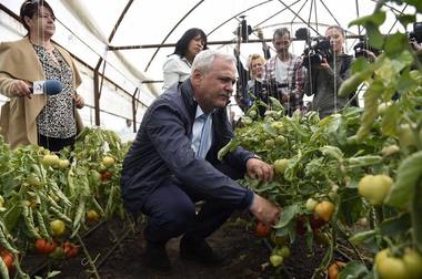 Dragnea: Pentru cei care vor ieşi cu roşii româneşti de la 1 decembrie la 1 mai subvenţia va creşte de la 3.000 la 6.000 de euro. 
