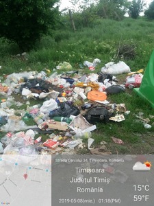 Primăria Timişoara, amendată cu 15.000 de lei de Garda Naţională de Mediu pentru gunoaiele de pe străzi. FOTO