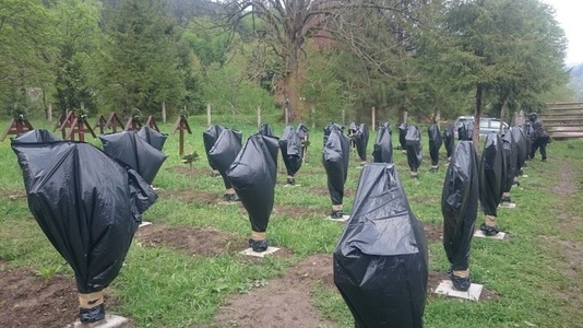 Bacău: Poliţiştii fac cercetări după ce mai multe cruci ale eroilor români au fost acoperite cu saci din plastic -  FOTO

