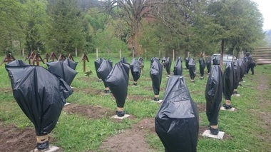 Consiliul Judeţean Harghita a introdus program de vizitare a cimitirului militar din Valea Uzului