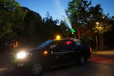 Primăria Capitalei anunţă că tratamentele împotriva tânţarilor continuă