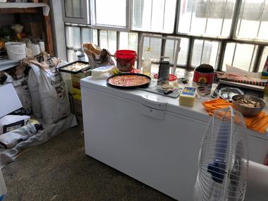 Opt unităţi de alimentaţie publică din Eforie, închise temporar de Protecţia Consumatorilor; comisarii propun introducerea cazierului contravenţional