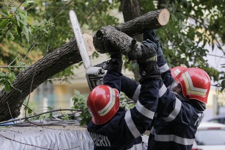 Furtună în Bucureşti: Zeci de copaci rupţi de vânt şi 21 de maşini avariate
