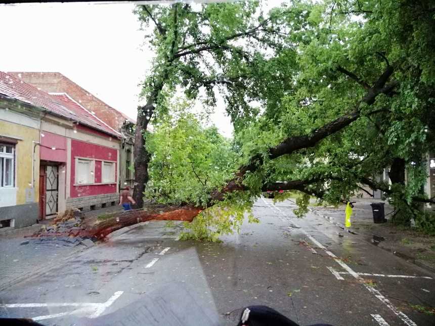 Bihor: Aproape 25.000 de consumatori din 60 de localităţi, fără electricitate din cauza avariilor produse de furtună; vântul a doborât peste 30 de copaci. FOTO