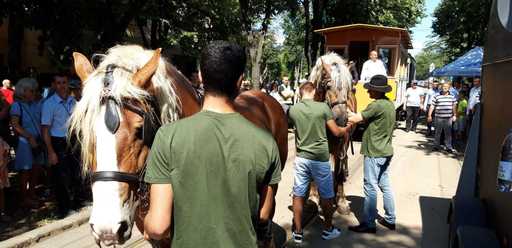 Tramvaiul tras de cai a fost scos pe străzile din Timişoara, la sărbătorirea a 150 de ani de transport public local
