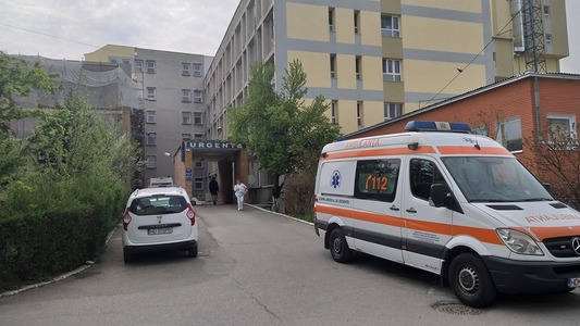 Hunedoara: Copil de 13 ani, muşcat de viperă în faţa blocului, a fost dus la spital, în Timişoara