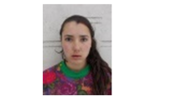 Poliţiştii anunţă dispariţia altor două adolescente, din judeţele Botoşani şi Tulcea