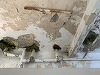 USR: Secţia de Psihiatrie a Spitalului Judeţean Constanţa arată ca un loc unde s-ar putea filma filme horror/ Managerul spitalului: Vom începe reabilitarea clădirii