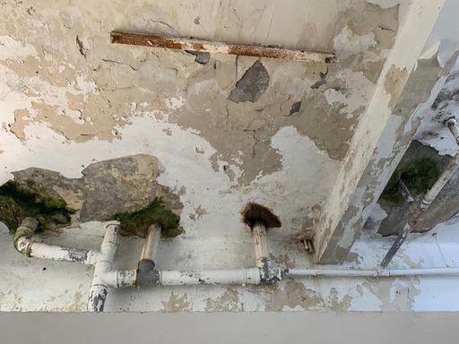 USR: Secţia de Psihiatrie a Spitalului Judeţean Constanţa arată ca un loc unde s-ar putea filma filme horror/ Managerul spitalului: Vom începe reabilitarea clădirii