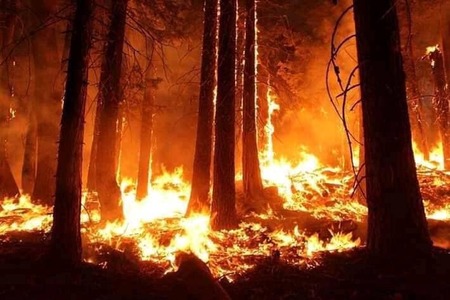 Atenţionare de călătorie emisă de MAE: În SUA, sunt incendii de vegetaţie în zona Los Angeles din California