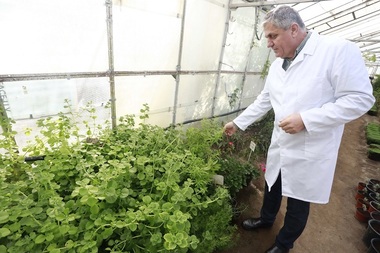 Directorul Băncii Naţionale de Gene, cercetătorul Costel Vânătoru, demis de ministrul Agriculturii /Chesnoiu, care a preluat conducerea Băncii: N-am nicio competenţă pe genetică, sunt jurist. Cum să-l coordonez eu pe Vânătoru?