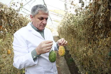 Ministerul Agriculturii, despre demiterea directorului Băncii de Gene de la Buzău: Este atributul exclusiv al ordonatorului de credite/  În România există o sigură Bancă de Gene funcţională, la Suceava; Banca de la Buzău nu este funcţională
