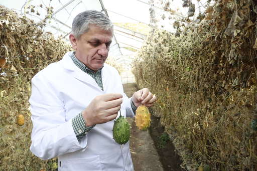 Ministerul Agriculturii, despre demiterea directorului Băncii de Gene de la Buzău: Este atributul exclusiv al ordonatorului de credite/  În România există o sigură Bancă de Gene funcţională, la Suceava; Banca de la Buzău nu este funcţională