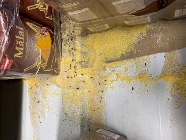Control ANPC la Penny Market Alexandria, după ce un consumator a observat un şoricel printre alimente. Comisarii au retras de la vânzare 30 de kilograme de mălai şi 100 de kilograme de orez - FOTO
