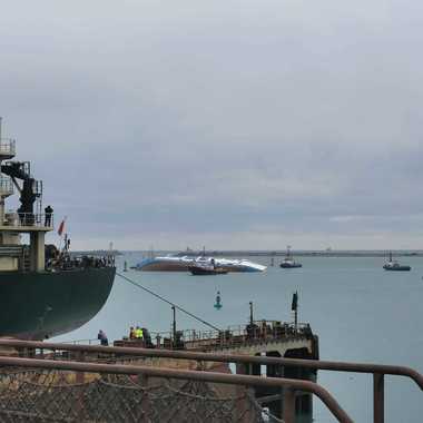 Constanţa: A fost semnat contractul pentru ranfluarea navei încărcate cu oi care s-a scufundat parţial în Portul Midia. Înţelegerea este în valoare de peste 19 milioane de lei 