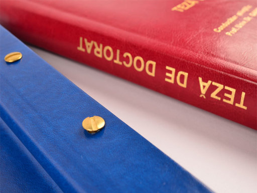 Ministerul Educaţiei: Publicarea tezelor de doctorat reprezintă o măsură asumată deschis de ministrul Educaţiei şi Cercetării/ Dezvăluirea datelor cu caracter personal se poate realiza în temeiul legal
