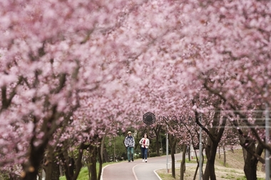 ANM - În Bucureşti va ninge la începutul săptămânii viitoare. De duminică, vremea se va răci în întreaga ţară, după care se va incălzi uşor