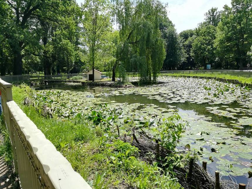 Parcurile şi Grădina Botanică din Craiova vor fi închise începând de duminică seară 
