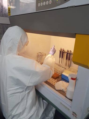 La Iaşi se pot procesa zilnic peste 500 de teste COVID-19, iar capacitatea poate creşte la 800