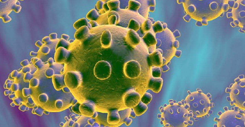 Încă şase decese cauzate de coronavirus / Bilanţul a ajuns la 451