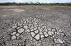 Ministrul Agriculturii spune că sunt afectate de secetă 2,9 milioane de hectare din toate judeţele din Moldova şi din sudul ţării