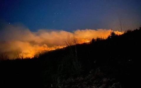 Costel Alexe: Incendiile distrug pădurea, mediul şi biodiversitatea/ 459 de incendii au fost înregistrate de la începutul anului până în 23 aprilie, cu un vârf de cazuri între 9 şi 23 aprilie, perioadă în care au fost raportate mai bine de jumătate