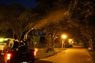 Primăria Capitalei anunţă că tratamentele pentru combaterea ţânţarilor vor începe în 5 mai