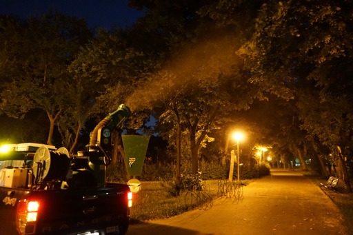 Primăria Capitalei anunţă că tratamentele pentru combaterea ţânţarilor vor începe în 5 mai