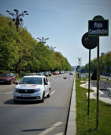 Poliţia Capitalei, apel către cetăţeni înainte de 1 Mai: Încercarea prin care trecem ne afectează pe toţi şi putem ieşi cu bine doar dacă respectăm regulile/ Anul acesta, trebuie să abordăm altfel această zi şi să respectăm distanţarea socială