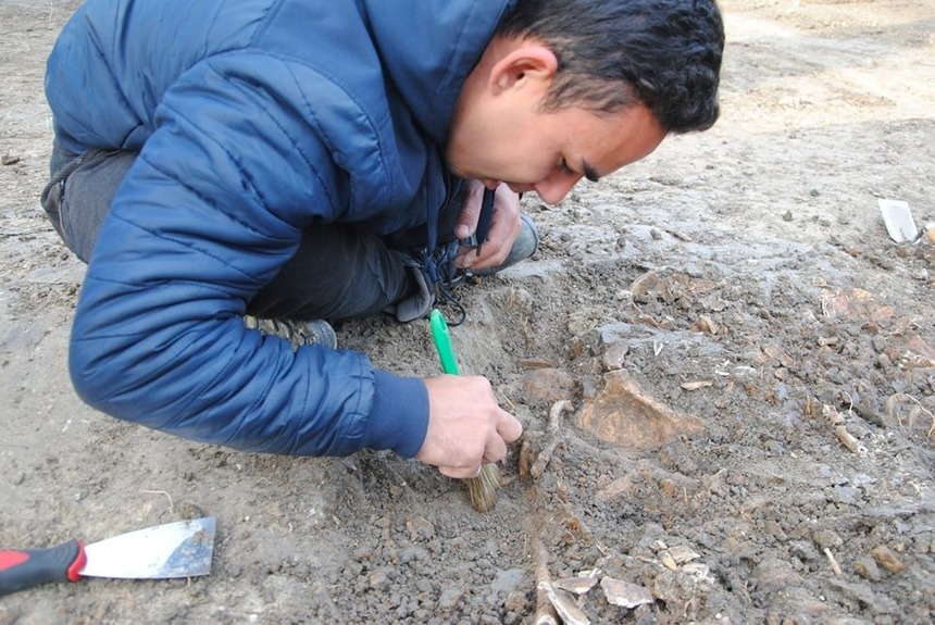Mormânt colectiv din vremea ciumei, în care erau aşezate scheletele a şase adulţi şi un copil, descoperit la Timişoara