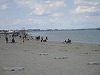Plaja din Mamaia, luată cu asalt de turişti şi constănţeni, de 1 iunie/ Unele terase au fost deschise de luni, dar cele mai multe continuă lucrările de amenajare/ Hotelierii se aşteptau la o avalanşă de rezervări, dar nu a fost aşa - FOTO