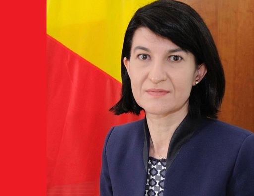 Moţiunea simplă împotriva ministrului Muncii Violeta Alexandru, adoptată de Senat - VIDEO