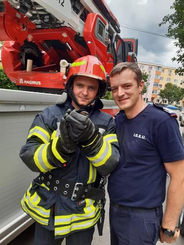 Rândunică prinsă într-o plasă de pe faţada unui bloc, salvată de către pompierii din Prahova
