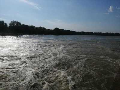 UPDATE - Vârful maxim de viitură pe râul Prut, atins la Rădăuţi-Prut/ În prezent, apele au depăşit cu 2,75 metri cota de pericol, nivelul fiind în scădere/ Cota de pericol, depăşită şi pe râul Jiu, în judeţul Hunedoara - FOTO