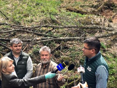 Costel Alexe: Codul Silvic în variantă modificată ar putea intra la vot final, în Camera Deputaţilor, săptămâna viitoare/ Vehiculele utilizate pentru comiterea de infracţiuni silvice vor fi confiscate