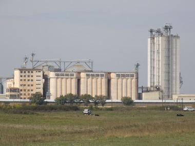 Timiş: 95 de cazuri de COVID-19 la angajaţi ai fermelor Smithfield