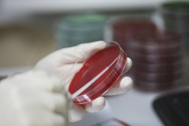 Iohannis: Daţi-mi voie să îmi exprim admiraţia celor din prima linie. De luni de zile au ţinut epidemia sub control/ Trebuie să îi ajutăm: să purtăm mască, să păstrăm distanţa şi astfel să prevenim supraaglomerarea spitalelor din România